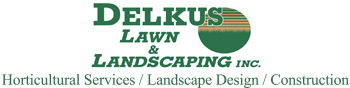 Delkus Lawn & Landscaping